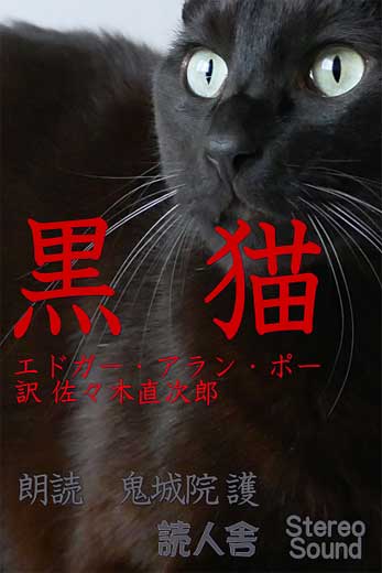 黒猫