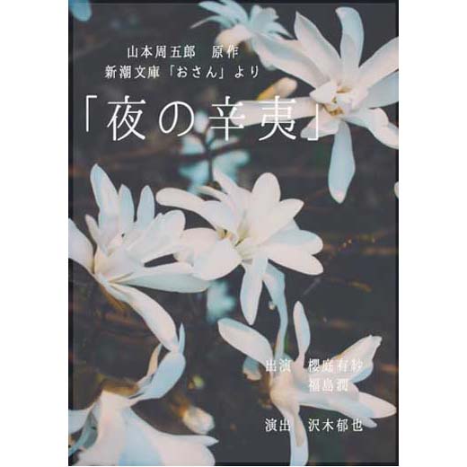 夜の辛夷