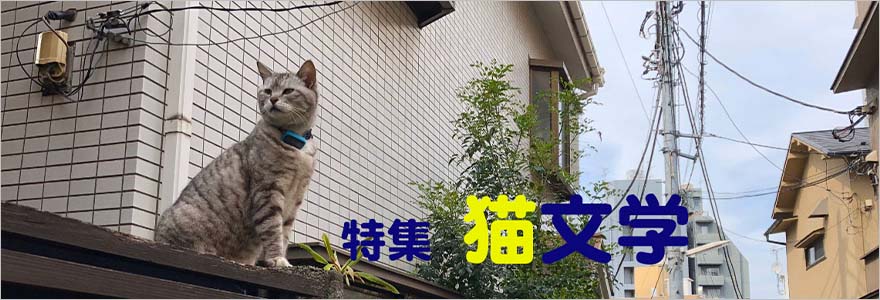 特集猫文学